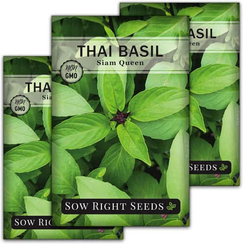 Vista 8 de Sow Right Seeds - Semilla de albahaca tailandesa de hoja grande dulce para plantar - Paquete de reliquia sin OMG con instrucciones para plantar un