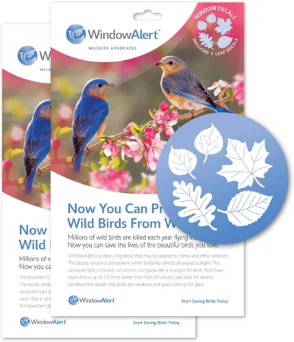 Vista 17 de WindowAlert - Calcomanías anticolisión para pájaros – Calcomanía transparente para ventana para proteger a las aves silvestres de colisiones contra