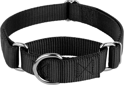 Country Brook Petz - Collar Martingale para perro - Collar de entrenamiento resistente sin hebilla - Collar para perro de servicio para todas las