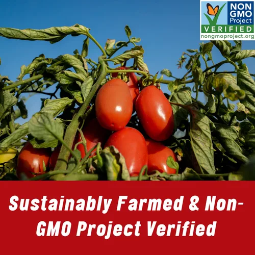 Vista 4 de Mutti Pasta de tomate doble concentrada (Doppio Concentrato), tubo de 4.5 onzas Paquete de 4 Marca de tomates #1 de Italia Pasta de tomate