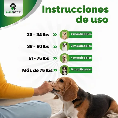 Vista 6 de Probióticos para perros - Masticables para la salud digestiva con prebióticos y enzimas Suplemento probiótico para perros para el intestino