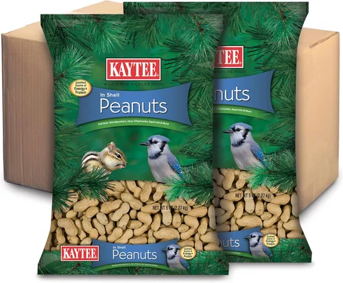 Kaytee Cacahuetes enteros con cáscara para cardenales, arrendajos azules, pájaros carpinteros y otras aves silvestres exteriores, dos bolsas de 5