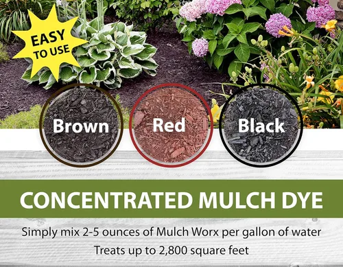 Vista 3 de Mulch Worx Concentrado de color Red Mulch - Cuarto de galón - Trata 2,800 pies cuadrados - Spray de tinte para mantillo rojo borgoña profundo