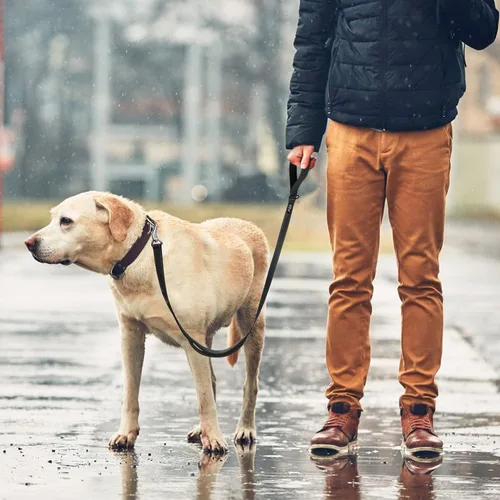 Vista 7 de Fida Correa resistente de 4 pies para perro con 2 cómodas asas acolchadas, asa de tráfico y gancho avanzado de fácil presión, correa reflectante