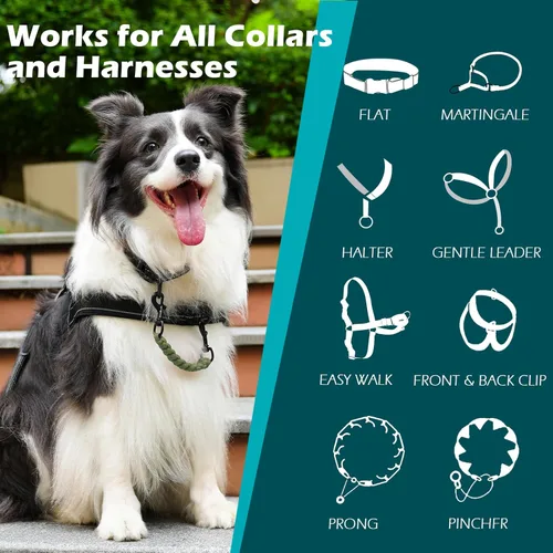 Vista 8 de PetBonus Paquete de 2 cuencos plegables de silicona para perros y clip de seguridad para collar de perro