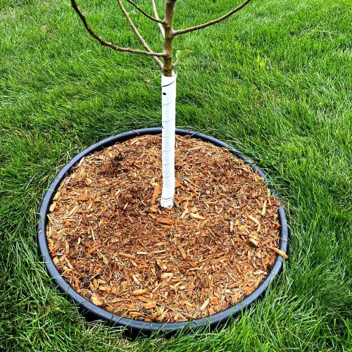 Vista 4 de Master Mark TreeMaster - Protector de árbol en espiral, protector de árbol de plástico, envoltura de árbol, protección de corteza de árbol, tubos