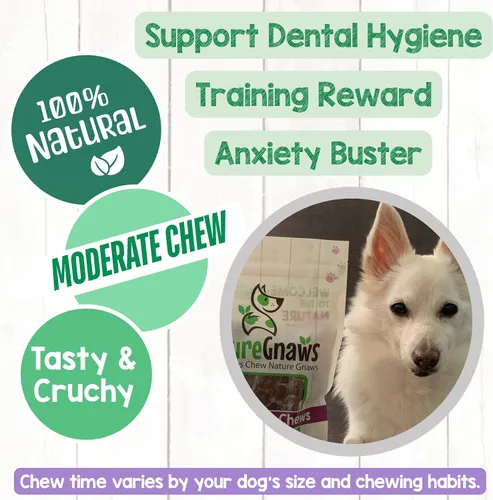 Vista 4 de Nature Gnaws Masticables de tráquea de ternera para perros de 3 pulgadas (12 unidades) – Huesos masticables naturales crujientes de larga duración