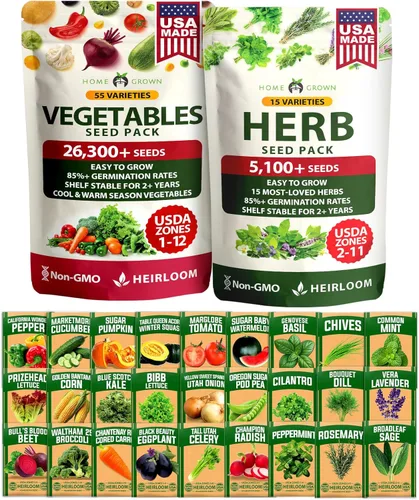 Vista 10 de HOME GROWN Más de 1000 semillas de cilantro para plantar en interiores o exteriores, hierbas tradicionales sin OMG, semillas de plantas de cilantro