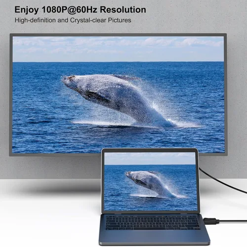 Vista 2 de BENFEI Cable DisplayPort a DVI de 10 pies, adaptador unidireccional DisplayPort de computadora a monitor DVI-D de 1080P a 60Hz macho a macho, cable