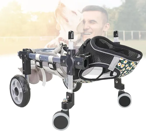 2/4-Wheels Dog Wheelchair for Back Legs, Adjustable Lightweight Dog Carts with Back Limb Walking Mobility Aids, Disabled Doggie Assisted Walker for