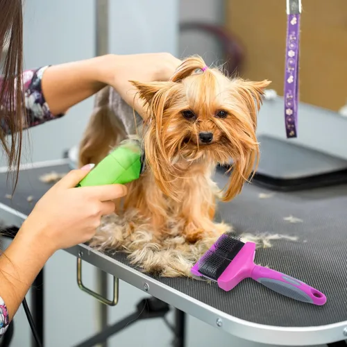 Vista 3 de Groomer Essentials Cepillo flexible para deslizar - Doble/Media Firma