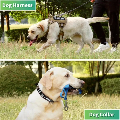Vista 2 de Paquete de 2 parches para perros de servicio para arnés o collar de perro, letras grandes transparentes para una fácil visibilidad, para perros