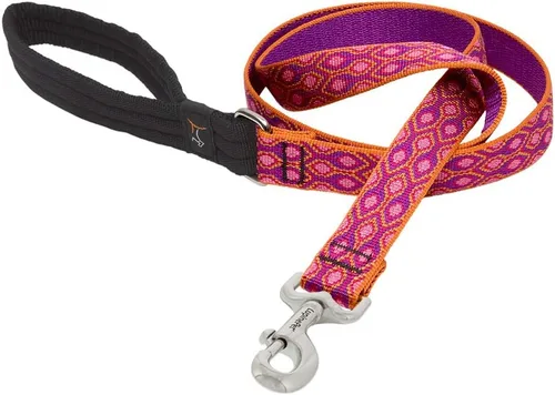 LupinePet Originals Alpen Glow - Correa de mango acolchado de 1 pulgada para perros medianos y grandes