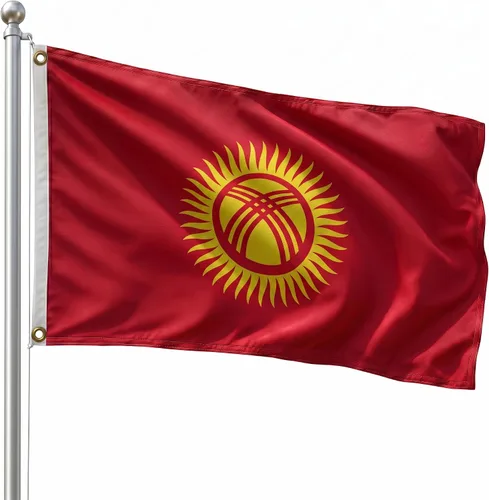 Vista 194 de DMSE - Bandera nacional beninesa beninesa de la República de África Occidental, 2 x 3 pies, 100 % poliéster, 100 % poliéster, resistente a los rayos