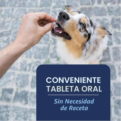 Vista 4 de PetArmor CAPACTION (nitenpyram) tratamiento oral contra pulgas para perros, tabletas de acción rápida que comienzan a matar pulgas en 30 minutos