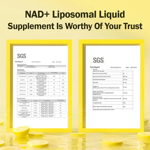 Vista 2 de Suplemento líquido liposomal NAD+ - Diseñado para ayudar a apoyar la absorción - absorción celular mejorada, ayuda a apoyar la salud celular normal