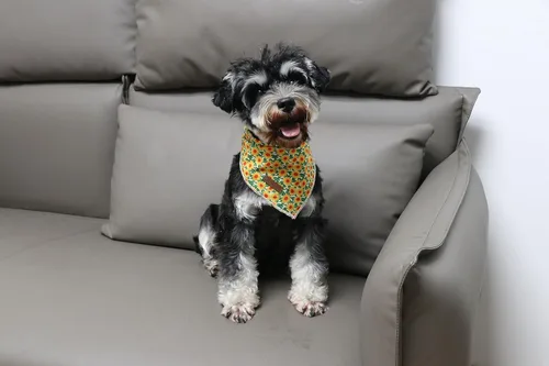 Vista 5 de Bandana de otoño para perro, bandana de girasol para perros pequeños, medianos y grandes, lindo pañuelo de flores para cachorros, bufanda triangular