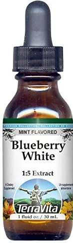 Terravita Extracto líquido de glicerita blanca de arándanos (1:5), sabor a menta (1 oz, ZIN: 522176) - Paquete de 3
