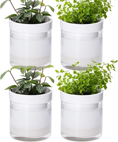 Vista 22 de Phoenix Vine Macetero de terracota de riego automático de 4 pulgadas, maceta de arcilla de terracota negra con depósito de vidrio para plantas
