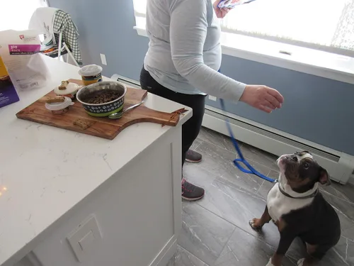 Vista 7 de Smarter-Seal, Cubiertas para latas de comida para mascotas, tapas universales para latas, paquete de 4, color transparente, para comida de perros