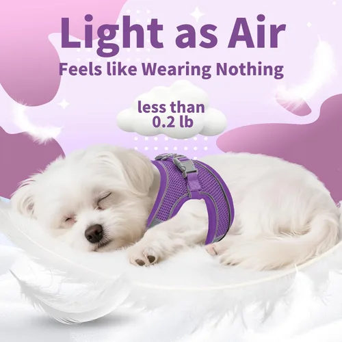 Vista 7 de AIITLE Juego de arnés y correa para perro, arnés a prueba de escape, sin tirones, con malla suave y bandas reflectantes, arnés ajustable