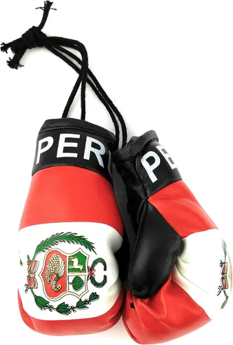 Vista 26 de Mini Guantes de Boxeo Colgantes para Espejo de Coche (Argentina)