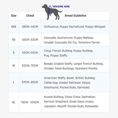 Vista 6 de Arnés para perro Dog Friendly Co Correas resistentes a rozaduras, cuello y pecho ajustables, y anillo en D resistente Resistente, cómodo, fácil