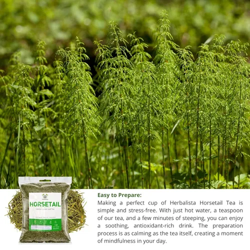 Vista 4 de Herbalista Nature - Té de cola de caballo suelto prémium (4 onzas, 3.99 oz), té de hierbas 100% natural de cola de caballo, hierba para afeitar