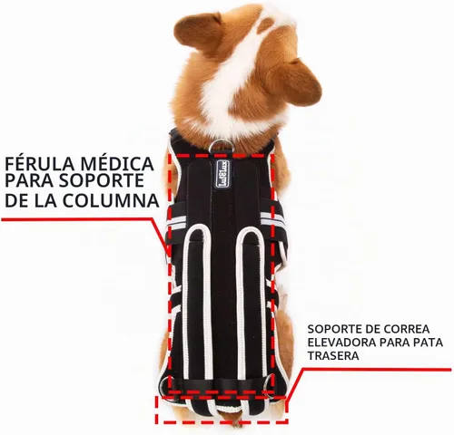 Vista 4 de Soporte de espalda para perros con IVDD, artritis, dolor de espalda, recuperación quirúrgica y rehabilitación, alivio del dolor de espalda de perro