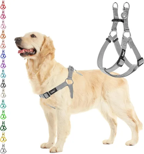 Vista 69 de Pupteck - Arnés para perros sin jalar, suave, ajustable, de nailon, talla básica, chaleco para cachorro, para caminar al aire libre con etiqueta