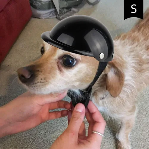 Vista 3 de Enjoying Cascos para perros extrapequeños a pequeños, casco mixto de Chihuahua, casco de perro pequeño a pequeño, sombrero de gato para motociclismo
