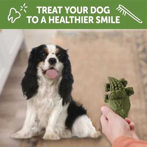 Vista 7 de WHIMZEES by Wellness Alligator - Masticables dentales naturales para perros, golosinas de larga duración, sin granos, refresca el aliento, raza