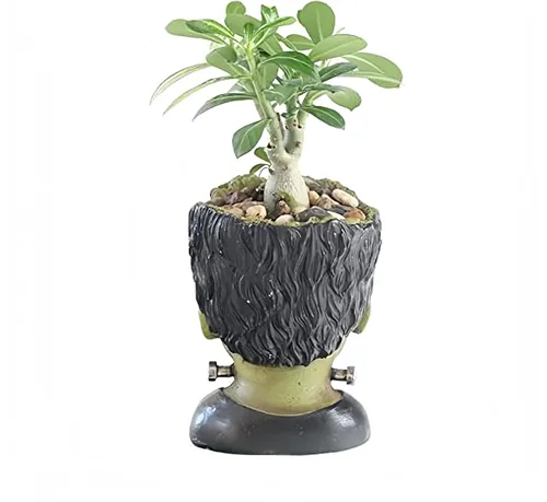 Vista 2 de Maceta Graciosa con Cabeza de Planta Divertida, Maceta para Suculentas con Orificio de Drenaje, Maceta de Resina para Jardín de Hadas, Maceta