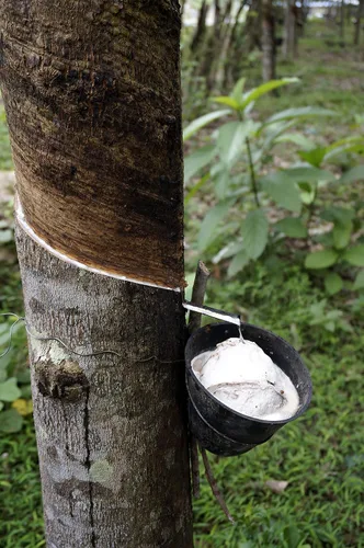 Vista 9 de SWEETIE Chupete de goma Chupete de goma natural redondeado rosa grande 12-18 meses