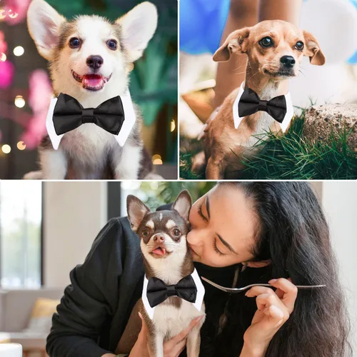 Vista 4 de Collar de corbatín negro para gato Segarty, lindo esmoquin para cachorros con corbatín para perros con collar blanco ajustable hecho a mano