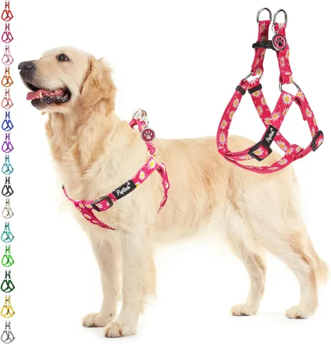 Vista 68 de Pupteck - Arnés para perros sin jalar, suave, ajustable, de nailon, talla básica, chaleco para cachorro, para caminar al aire libre con etiqueta