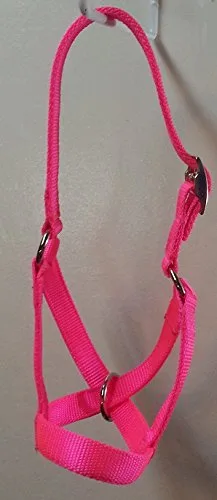 Vista 6 de Cattle Halters Matching Lead Bull Cow Yearling Calf Newborn (Calf, Lime Green)