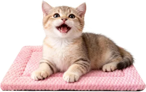 Vista 9 de Alfombrilla para Cama de Perro – Almohadilla de Perrera Suave y Cómoda para Jaula – Cama y Almohadilla Duradera para Perros y Gatos – Ideal