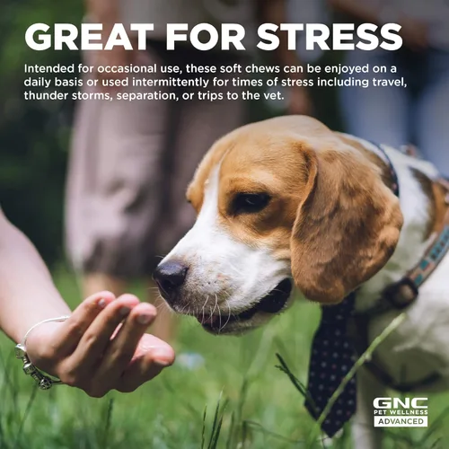 Vista 5 de GNC Pets Advanced - Suplementos calmantes para perros 90 unidades de suplementos masticables suaves para perros para apoyo calmante y alivio