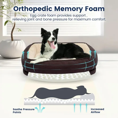 Vista 2 de Cama ortopédica para perros pequeña, lavable, cama de espuma para gatos mayores, cama ovalada para perreras, sofá cama para mascotas con refuerzo