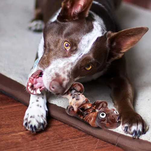 Vista 2 de ASIDE Juguetes para perros para masticadores agresivos, juguetes masticables para perros grandes, juguetes resistentes para perros, juguetes
