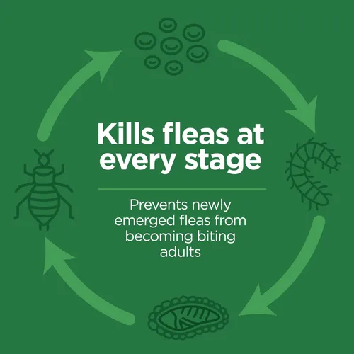 Vista 8 de Tópico TevraPet FirstAct Plus contra pulgas y garrapatas para gatos de más de 1.5 libras, 3 dosis impermeables de control/prevención de pulgas