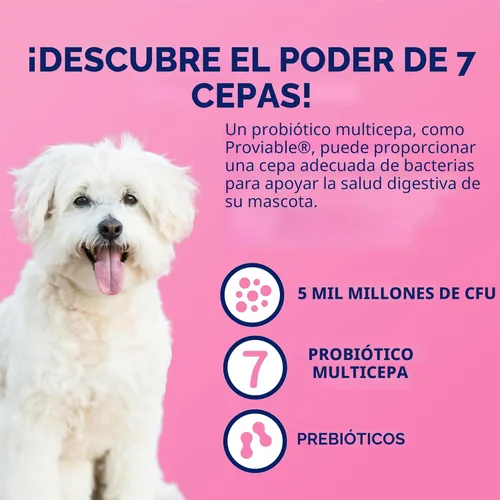 Vista 4 de Nutramax Proviable Probióticos para Perros y Gatos, Suplemento Diario para la Salud Digestiva con Múltiples Cepas de Bacterias, Probióticos