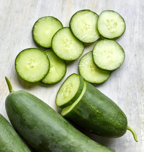 Vista 14 de Burpee 'Bush Champion' Semillas de Pepino para Rebanar, 60 semillas sin OGM, Apto para Contenedores, Exclusivo de Burpee