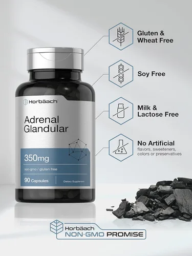 Vista 4 de Horbäach Glandular suprarrenal crudo 350 mg 90 cápsulas Suplemento sin OMG, sin gluten