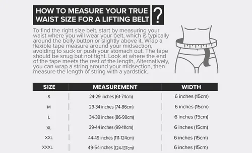 Vista 5 de Cinturón de levantamiento de pesas – Cinturón de cuero acolchado de 6 pulgadas – Soporte de espalda resistente y cómodo para levantamiento de pesas