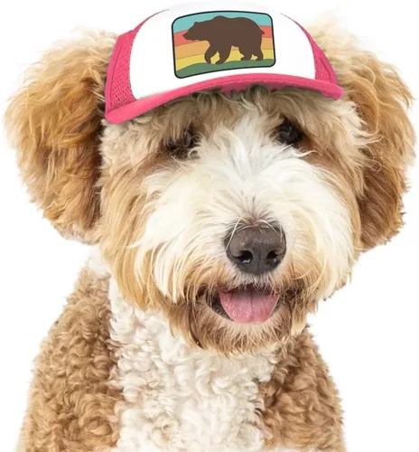 Vista 8 de Nature Collection, sombreros de camionero PupLid para perros (XXS) Protección solar elegante de alta calidad para el perro moderno, ajustable