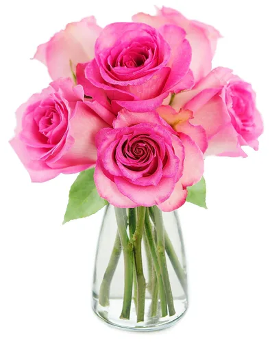 Vista 18 de KaBloom Entrega al día siguiente: colección para el día de la madre, 6 rosas arcoíris con ramo de verde. Regalo para cumpleaños, condolencias