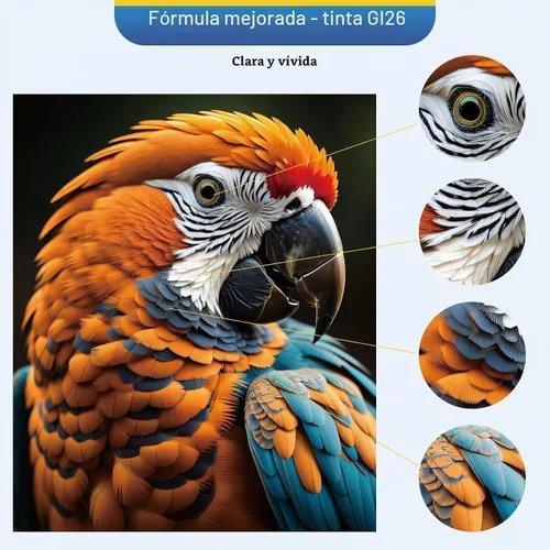 Vista 7 de GI-26 GI26 GX7021 Botellas de recarga de tinta compatibles