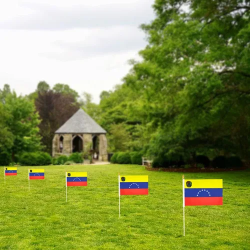 Vista 7 de QQSD Banderas de mano pequeñas de Venezuela con palo venezolano, poste de madera maciza con punta de lanza, paquete de 12